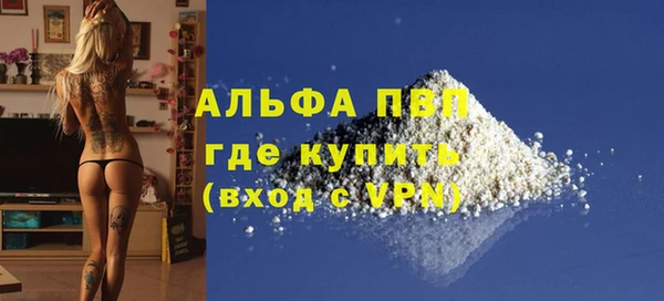 спайс Вяземский