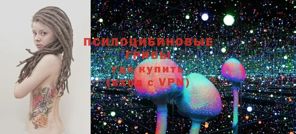 ПСИЛОЦИБИНОВЫЕ ГРИБЫ Вязьма