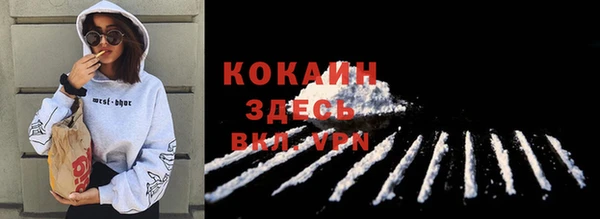 ПСИЛОЦИБИНОВЫЕ ГРИБЫ Вязьма