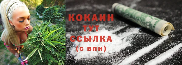 мяу мяу мука Горняк