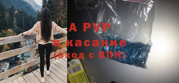 ПСИЛОЦИБИНОВЫЕ ГРИБЫ Вязьма