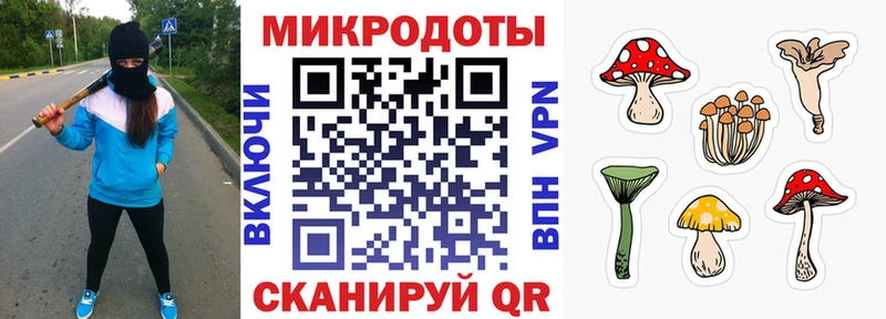 закладка  Дегтярск  МЕГА онион  Галлюциногенные грибы MAGIC MUSHROOMS 